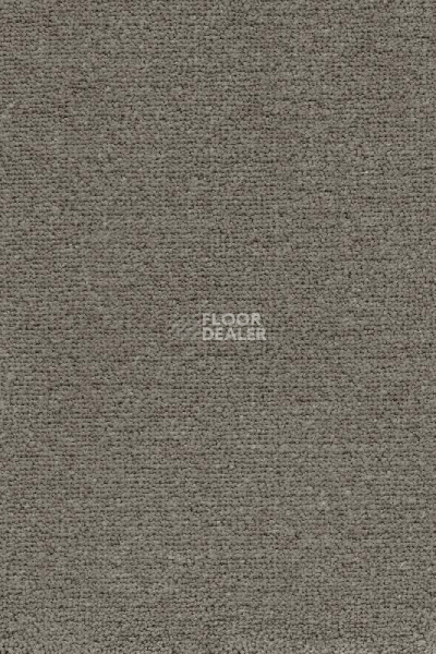 Ковролин AW Masquerade Mezza 49 фото 1 | FLOORDEALER